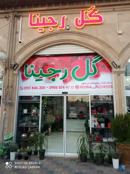 گل رجینا، محله بیست متری امام خمینی، شیراز