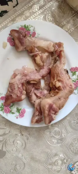 عکس طباخی دانش، محله دانشجو، مشهد 3