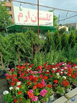عکس های گلستان ارم، اسد آباد، کرج