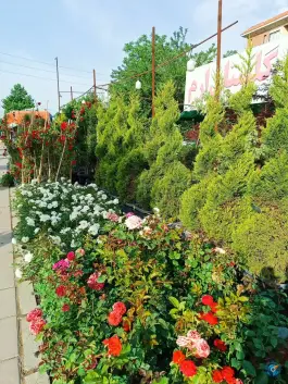 عکس گلستان ارم، اسد آباد، کرج 2