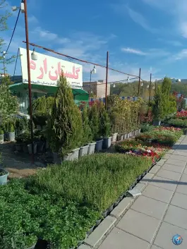 عکس گلستان ارم، اسد آباد، کرج 4