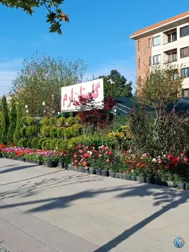 عکس گلستان ارم، اسد آباد، کرج 5