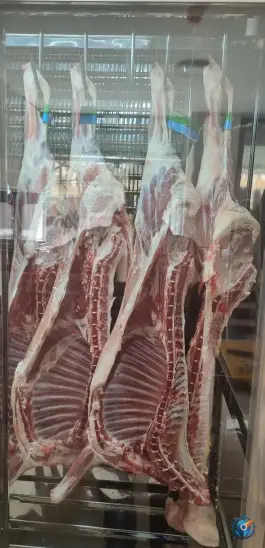 عکس گوشت فروشی ایلیا، الهیه، اصفهان 3