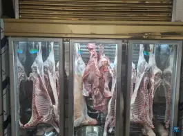 عکس گوشت فروشی ایلیا، الهیه، اصفهان 4