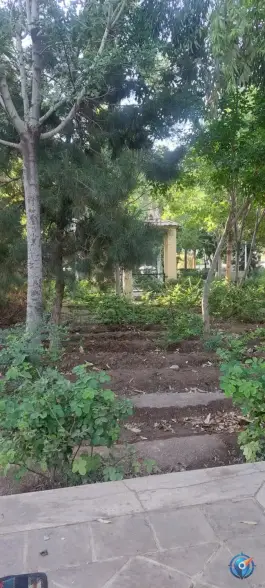 پارک جنگلی محمودآباد، محمودآباد، اصفهان