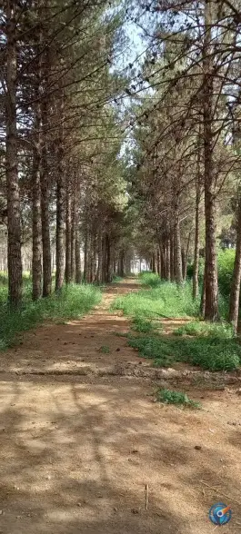 عکس پارک فدک پایگاه هوایی، بلوار شهید منصور ستاری، اصفهان 2