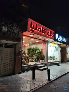 عکس گل فروشی کاملیا، محله جابر انصاری، اصفهان 1