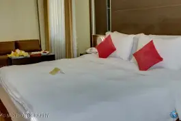 عکس هتل بزرگ تهران، محله عباس آباد، تهران 8