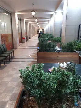 عکس فست فود زیتون لبنان «محله حرم مطهر رضوی» مشهد 8