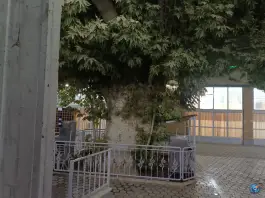 عکس مسجد نورالله کردآباد اصفهان 3