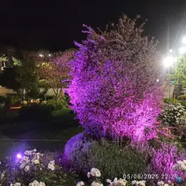 مجتمع فرهنگی و پذیرایی بعثت، امام رضا ۲۴، مشهد
