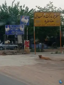 سوپر مارکت و کبابی خاطره شیراز - بزرگراه شیراز جهرم