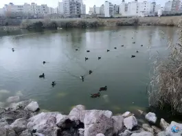 عکس پارک فروزان، محله فرگاز، شیراز 2