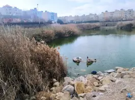 عکس پارک فروزان، محله فرگاز، شیراز 3