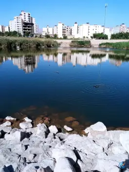 عکس پارک فروزان، محله فرگاز، شیراز 5