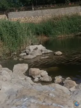 عکس پارک فروزان، محله فرگاز، شیراز 8