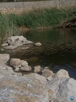 عکس پارک فروزان، محله فرگاز، شیراز 9
