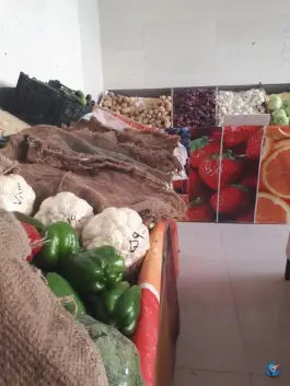 عکس میوه سرای اهورا، محله دوران، شیراز 9