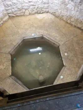 عکس حوضخانه آرامگاه سعدی، نیستان - سعدی، شیراز 6