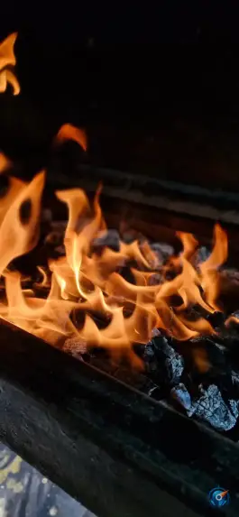 عکس جگرپیچ، طالقانی، آبیک 7