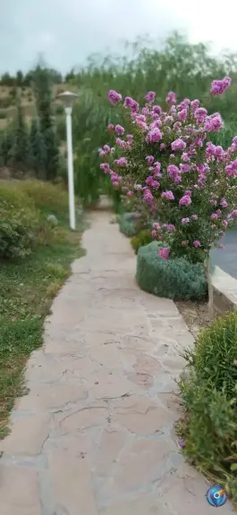 عکس های بوستان طبیعت المهدی کرج
