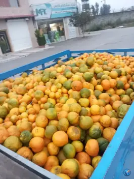 عکس میدان میوه و تره بار کرج، بلوار کامیون داران، کرج 7