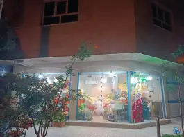 میوه سرای مومنین، محله فلسطین، قم