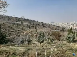 عکس بوستان دانایی، اسلام آباد، کرج 2