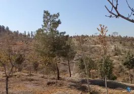 عکس بوستان دانایی، اسلام آباد، کرج 6