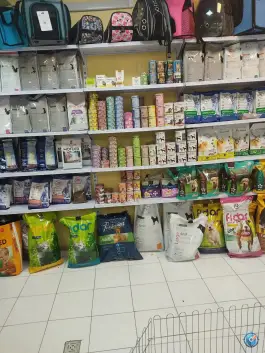 عکس پت شاپ اکوپت، عفیف آباد، شیراز 2