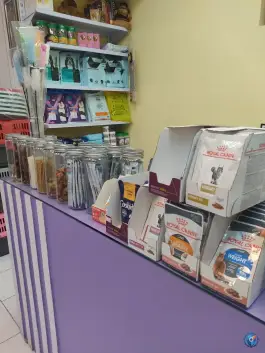 عکس پت شاپ اکوپت، عفیف آباد، شیراز 3