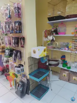 عکس پت شاپ اکوپت، عفیف آباد، شیراز 5