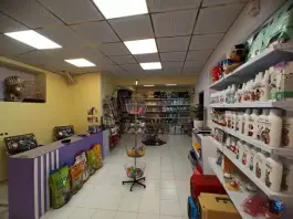 عکس پت شاپ اکوپت، عفیف آباد، شیراز 7