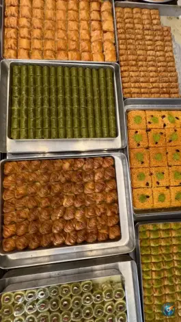 عکس میرزا باقلوا، محله تاچارا، شیراز 8