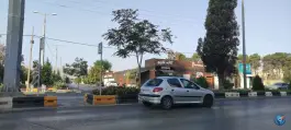 کافه کاریبو، ستارخان، شیراز