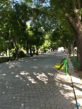 عکس بوستان رضوی، محله نصر، شیراز 2