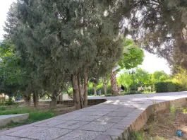 عکس بوستان رضوی، محله نصر، شیراز 5