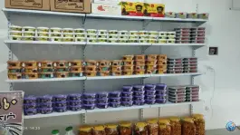 عکس خرما رطب طلایی بیبرا، غدیر، اصفهان 2