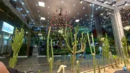 عکس فست فود کندوک، اوقاف، تهران 4