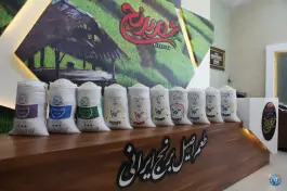 عکس فروشگاه شهر برنج، محله عمار یاسر، قم 10