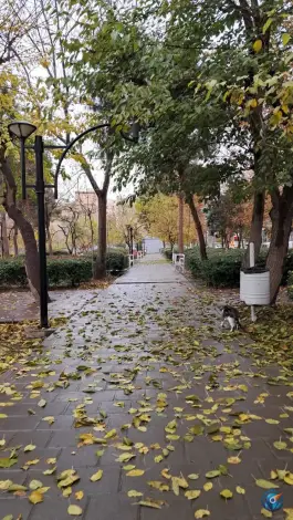 عکس بوستان عدل باغستان کرج 4