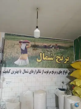 عکس برنج شمال، مطهری شمالی، کرج 3