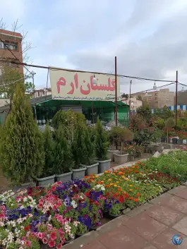 عکس های گلفروشی ارم، اسد آباد، کرج
