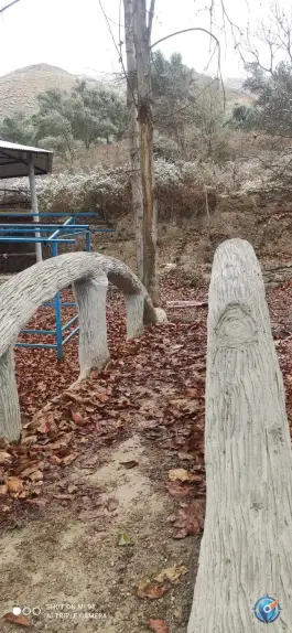 عکس کلبه جنگلی ایللر، طارم، آب بر 2