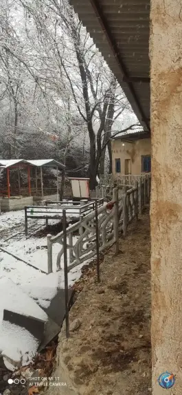 عکس کلبه جنگلی ایللر، طارم، آب بر 3