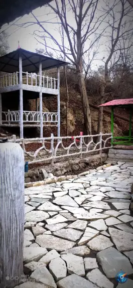عکس کلبه جنگلی ایللر، طارم، آب بر 8