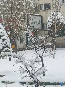عکس داروخانه دکتر محمد صادقی، سرافرازان، مشهد 3