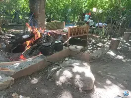 عکس سفره خانه سنتی کافه چناری، جاده جلایر، تفرش 3