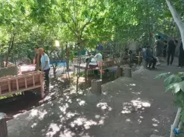 عکس سفره خانه سنتی کافه چناری، جاده جلایر، تفرش 6