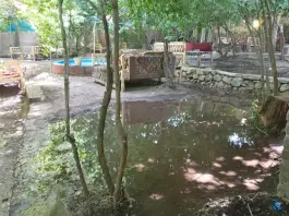 عکس سفره خانه سنتی کافه چناری، جاده جلایر، تفرش 9